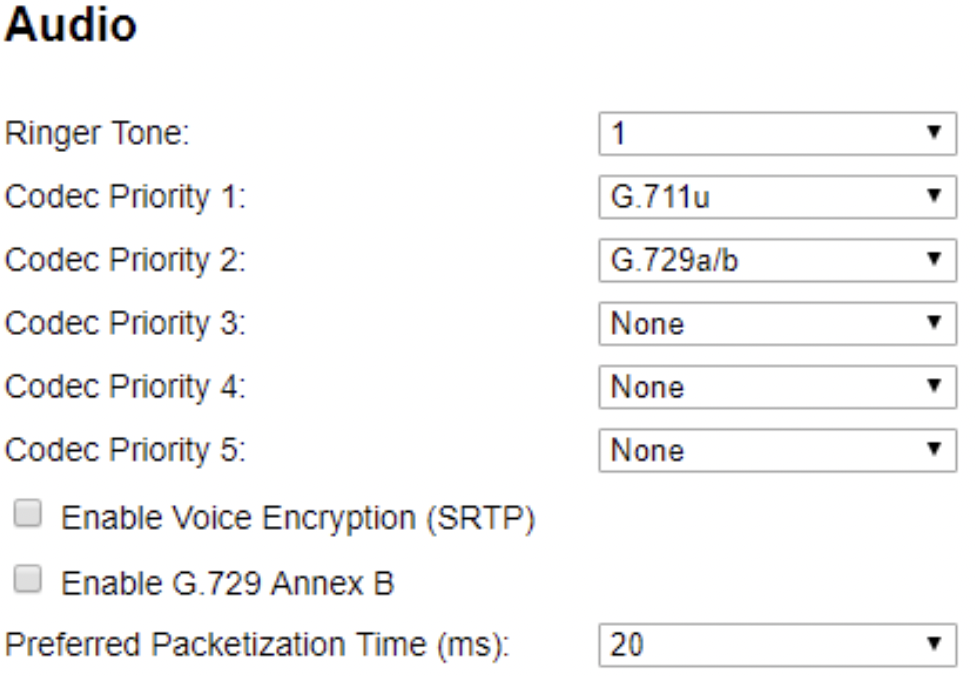 codec settings in the Audio section.