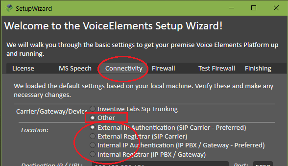 Connectivity tab on the Voice Elements wizard.